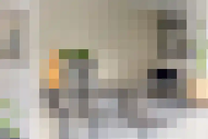 Anker 59 Veenendaal thumbnail 13