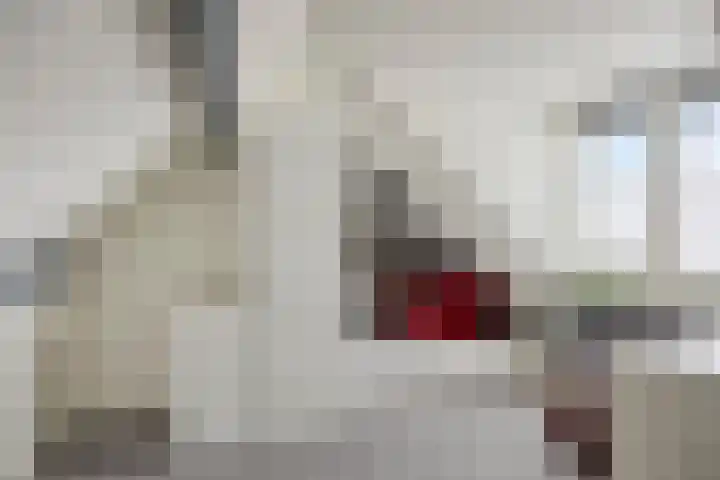 Anker 59 Veenendaal thumbnail 24