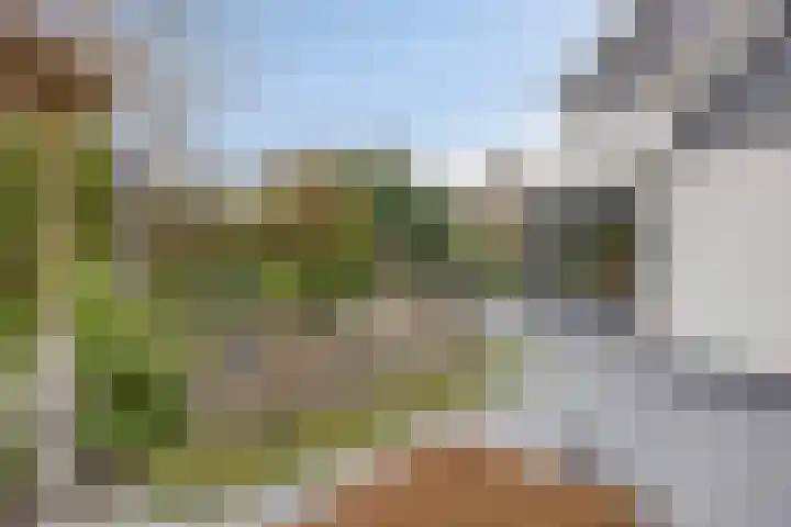 Anker 59 Veenendaal thumbnail 39