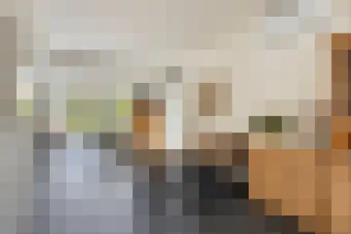 Anker 59 Veenendaal thumbnail 4
