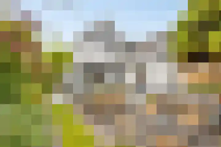 Anker 59 Veenendaal thumbnail 40