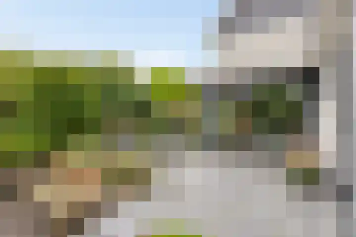Anker 59 Veenendaal thumbnail 41