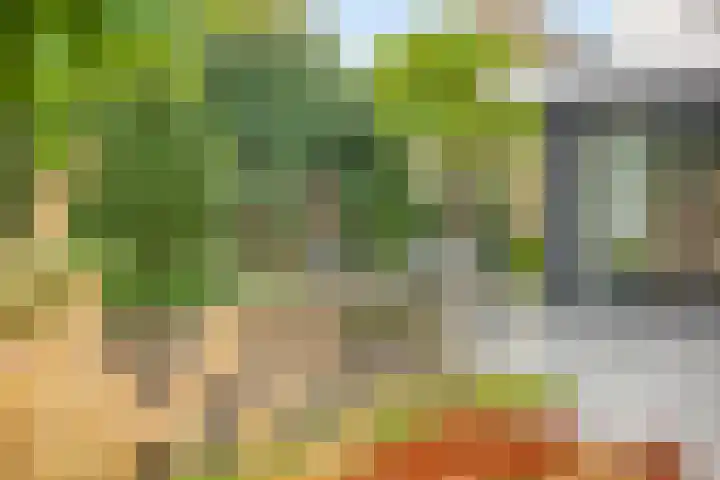 Anker 59 Veenendaal thumbnail 42