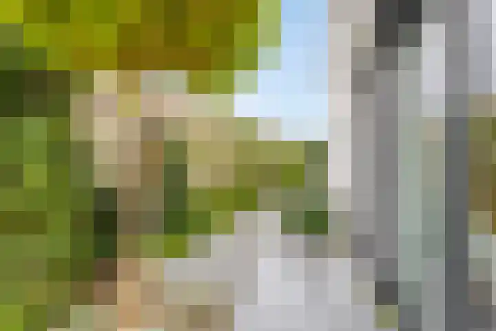Anker 59 Veenendaal thumbnail 43
