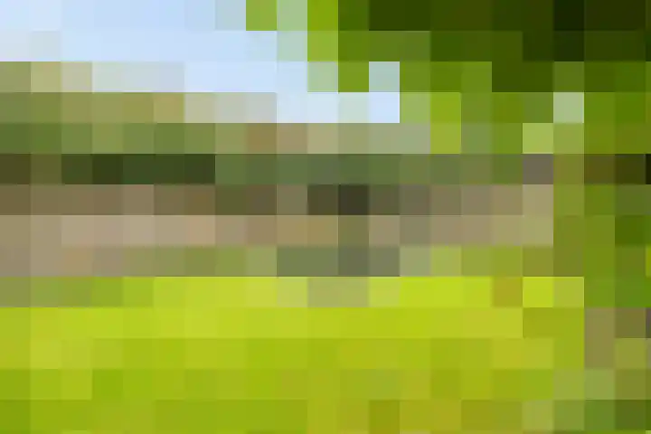 Anker 59 Veenendaal thumbnail 44