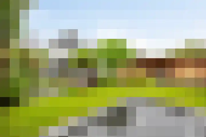 Anker 59 Veenendaal thumbnail 46