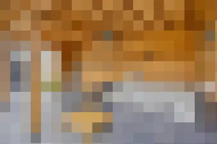 Anker 59 Veenendaal thumbnail 47