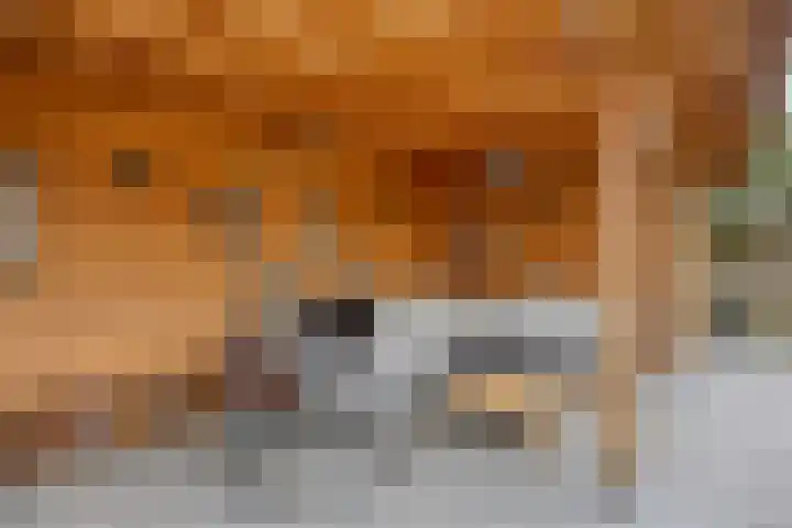 Anker 59 Veenendaal thumbnail 48