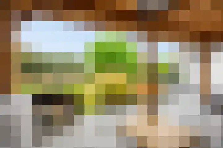 Anker 59 Veenendaal thumbnail 49