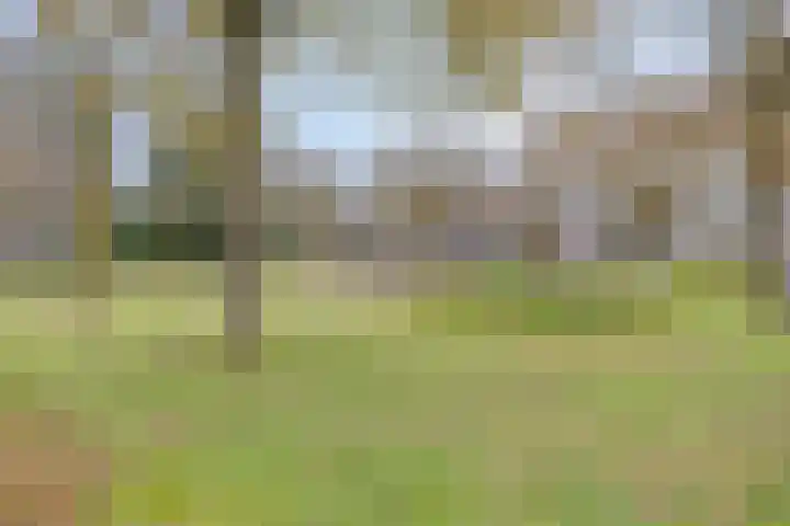 Anker 59 Veenendaal thumbnail 53