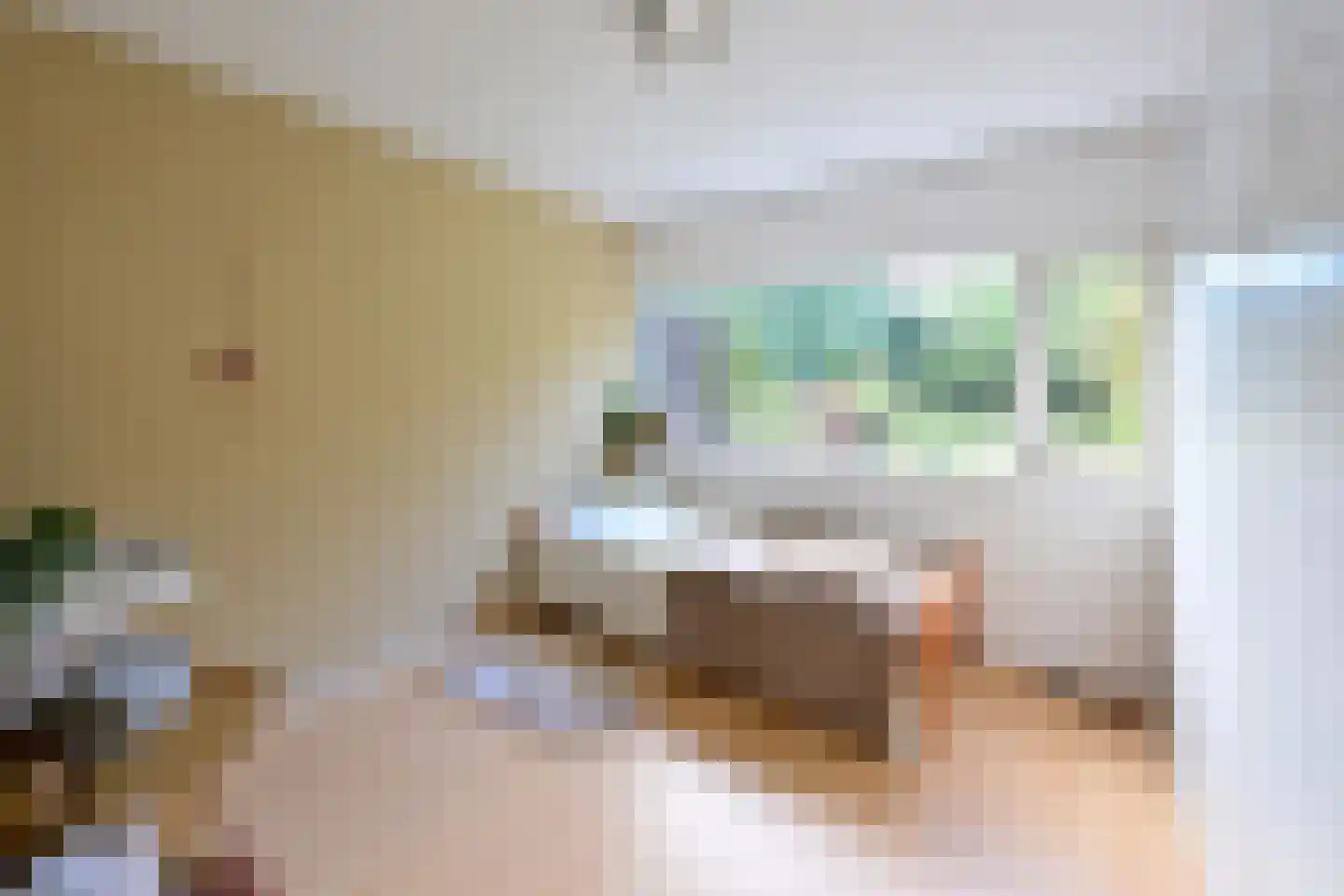 Anker 8 Huizen thumbnail 12