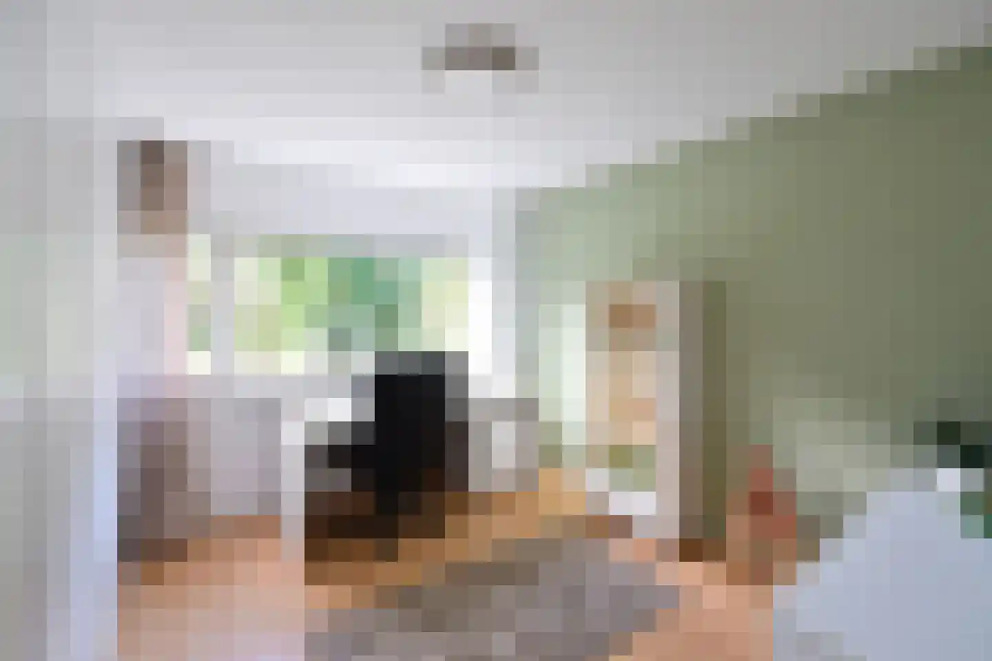 Anker 8 Huizen thumbnail 13