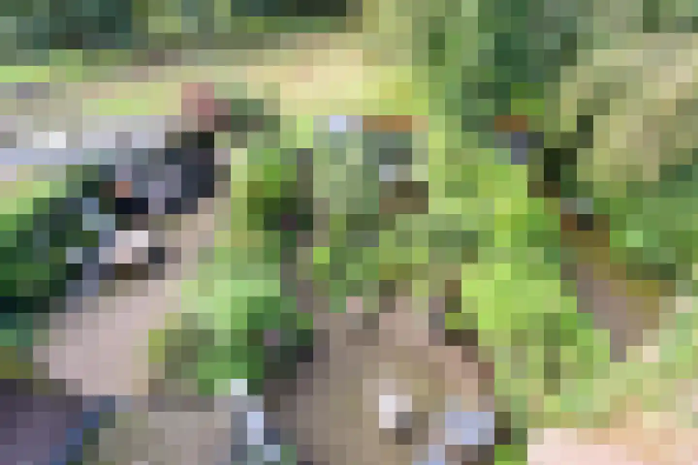 Anker 8 Huizen thumbnail 17