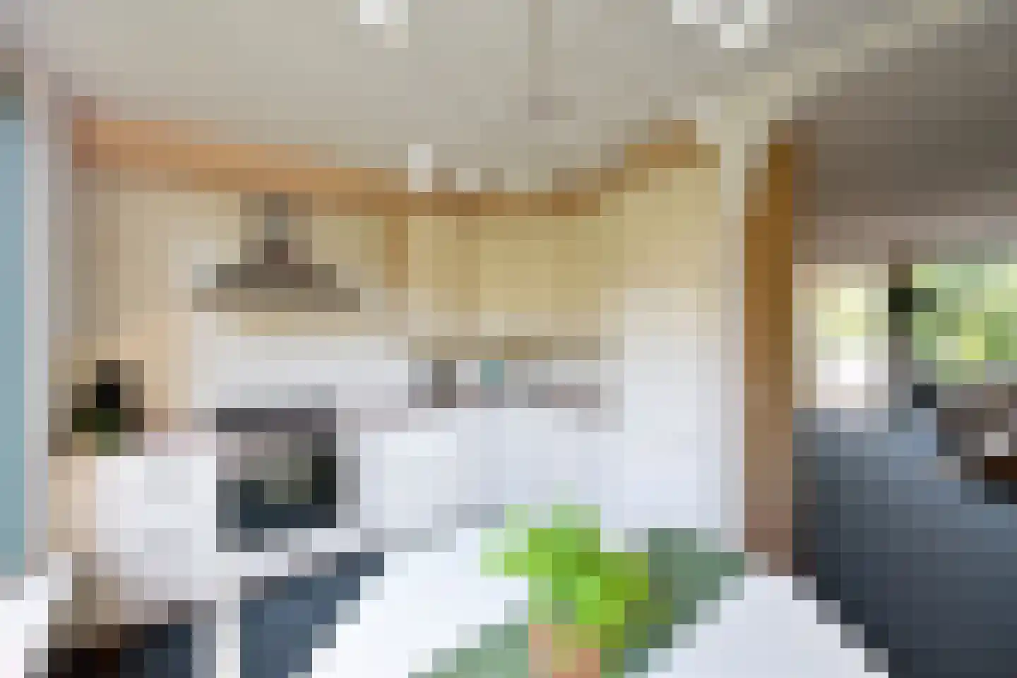 Anker 8 Huizen thumbnail 6