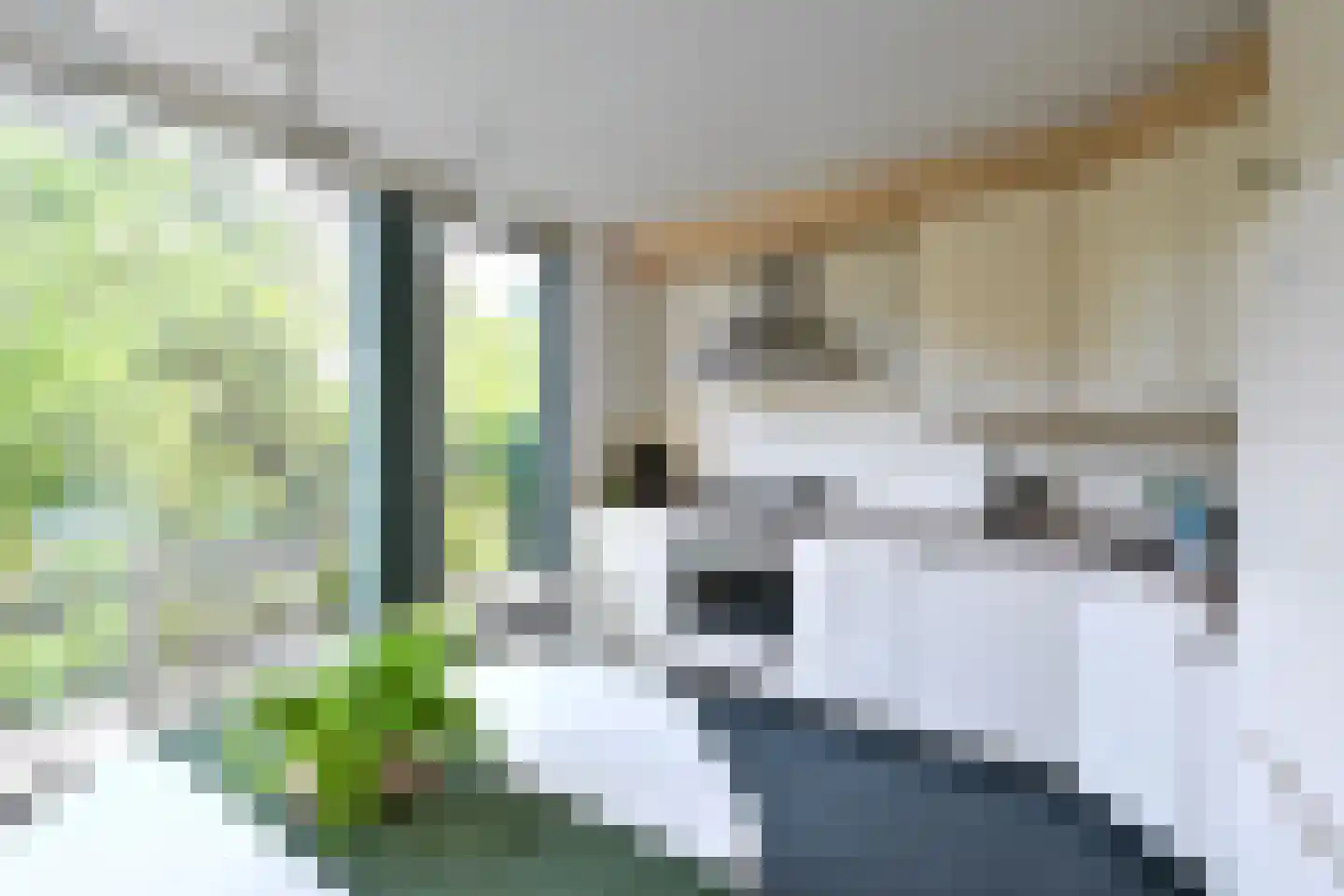 Anker 8 Huizen thumbnail 7