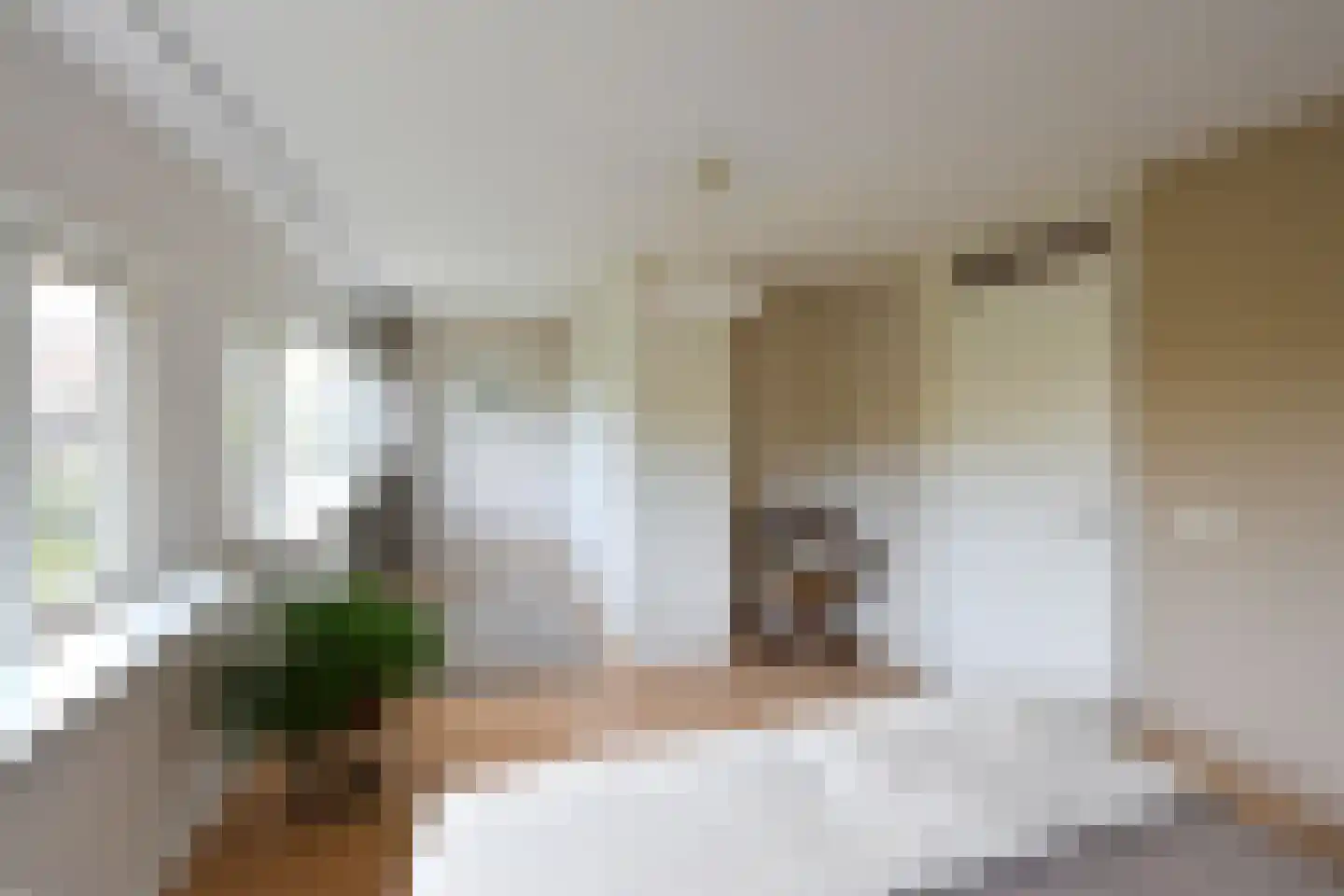 Anker 8 Huizen thumbnail 8