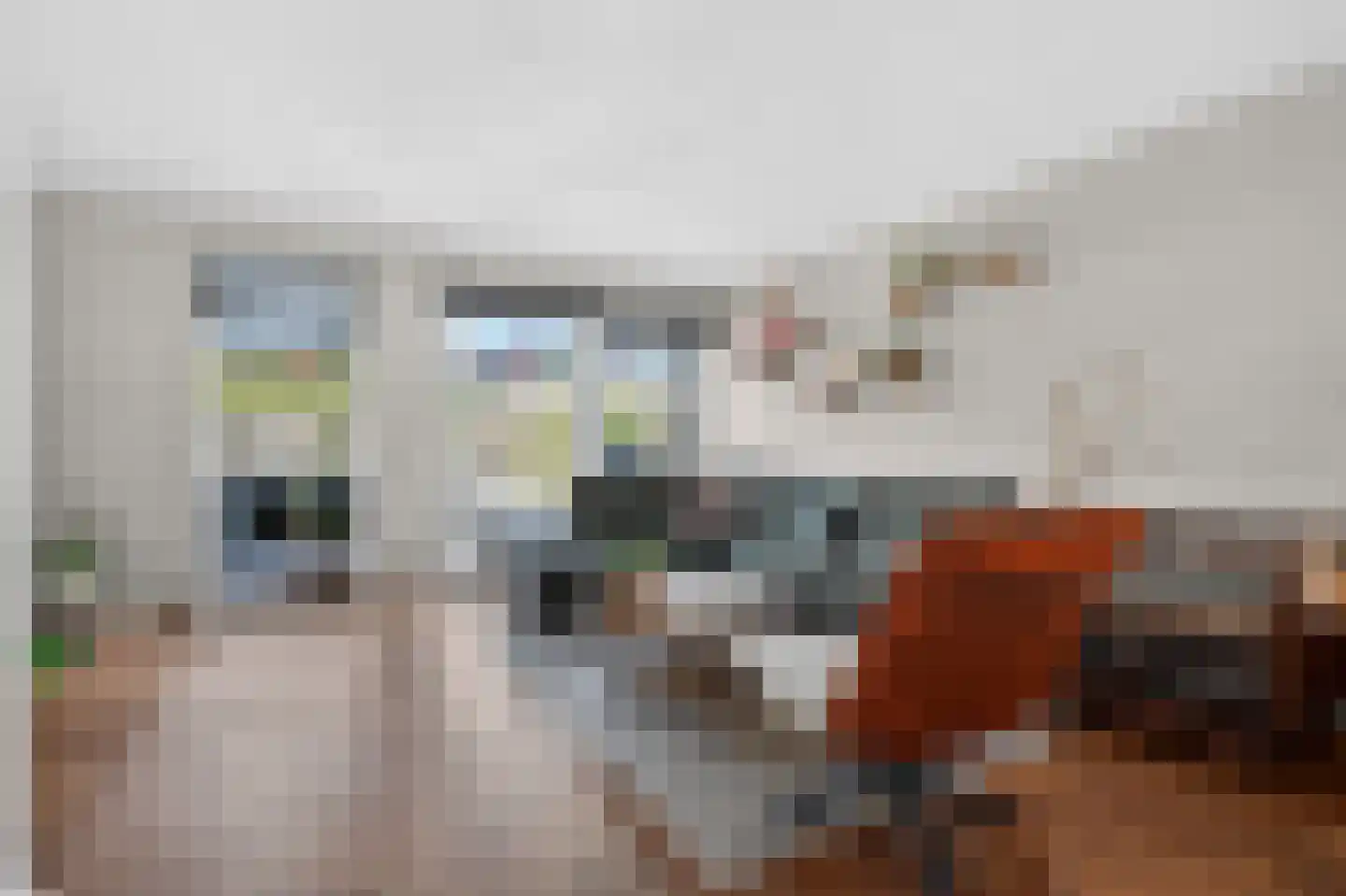 Anker 86 Klazienaveen thumbnail 11