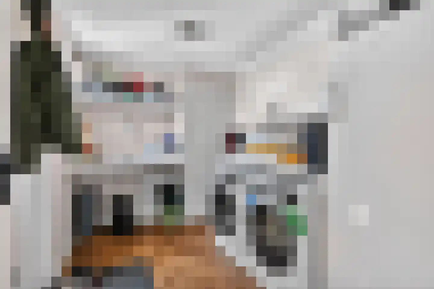 Anker 86 Klazienaveen thumbnail 18