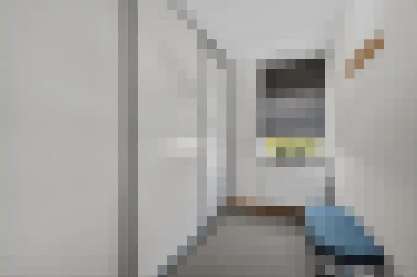 Anker 86 Klazienaveen thumbnail 24