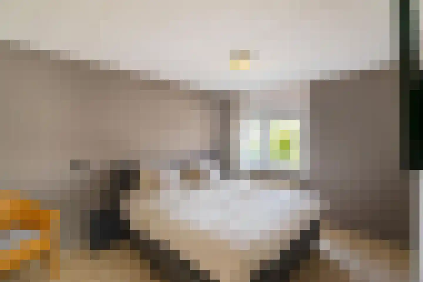 Anker 98 Klazienaveen thumbnail 15