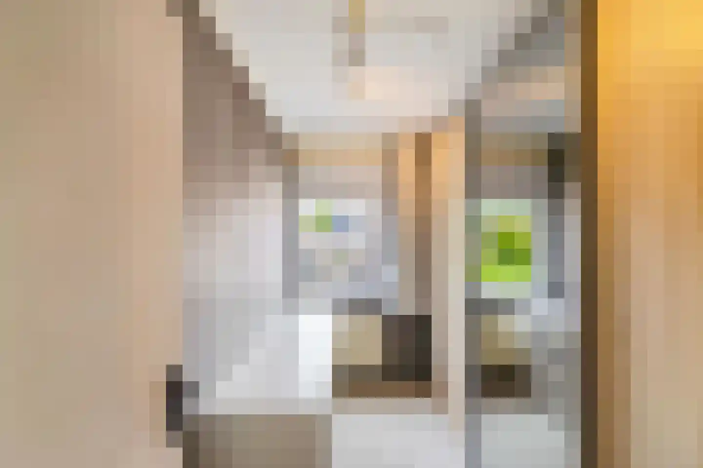 Anker 98 Klazienaveen thumbnail 18