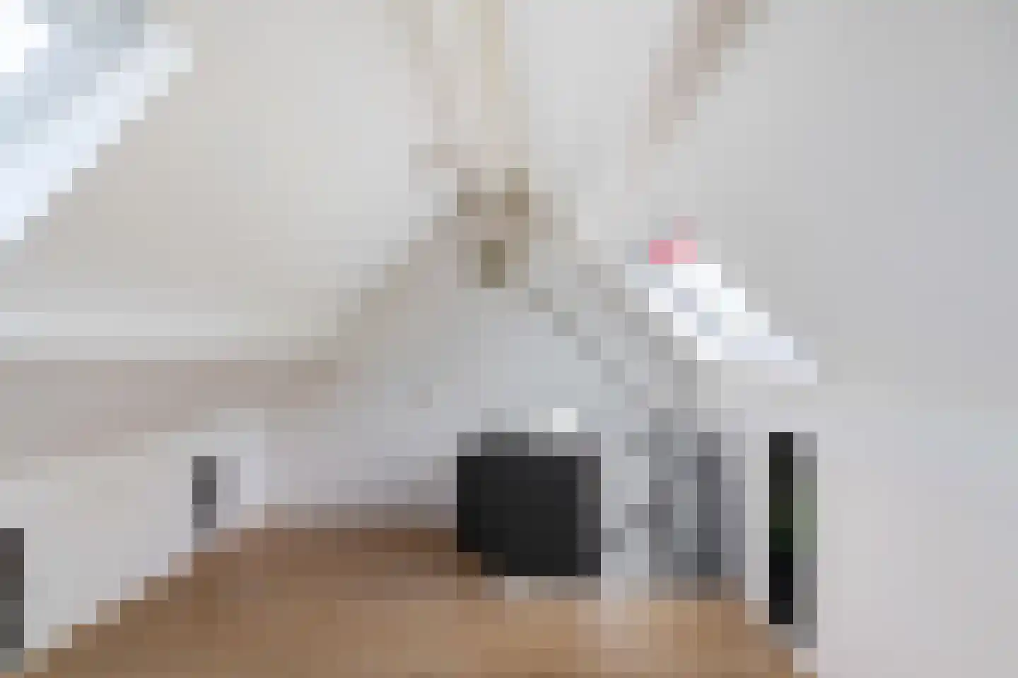 Anker 98 Klazienaveen thumbnail 23