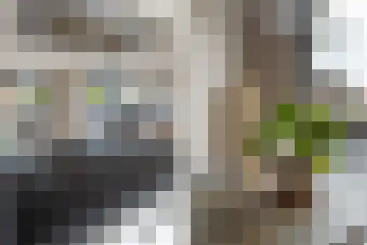 Ankerbol 3 Almere thumbnail 15