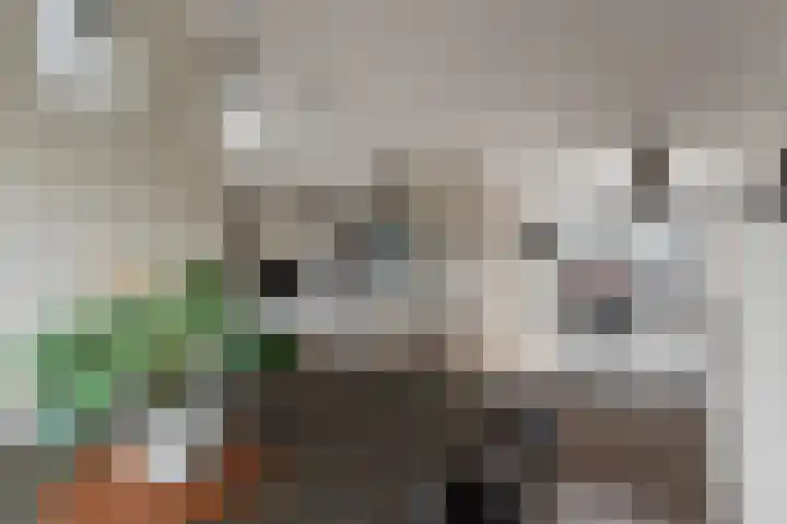 Ankerbol 3 Almere thumbnail 17