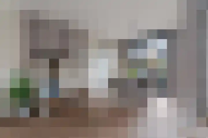 Ankerbol 3 Almere thumbnail 19
