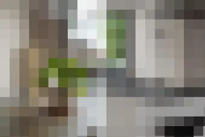 Ankerbol 3 Almere thumbnail 20