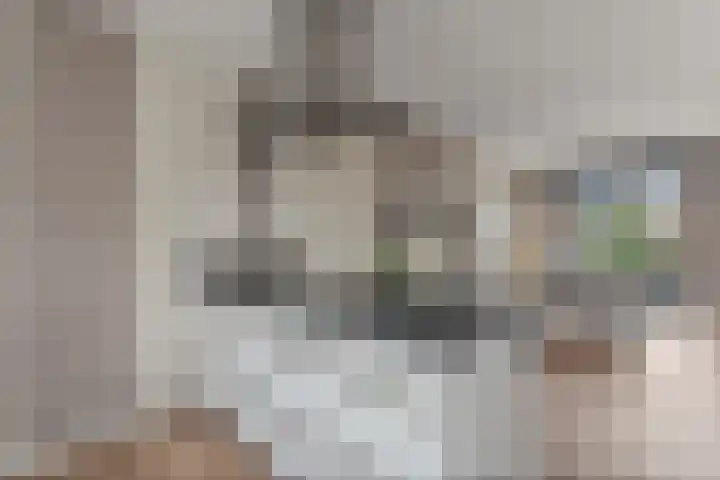 Ankerbol 3 Almere thumbnail 21