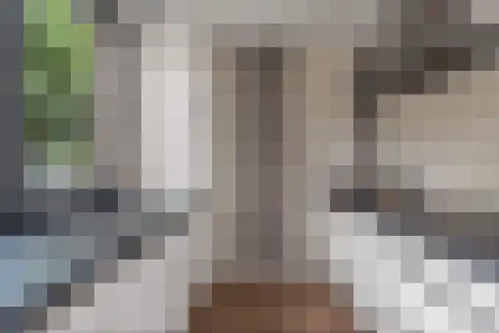 Ankerbol 3 Almere thumbnail 22