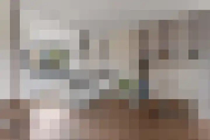 Ankerbol 3 Almere thumbnail 23