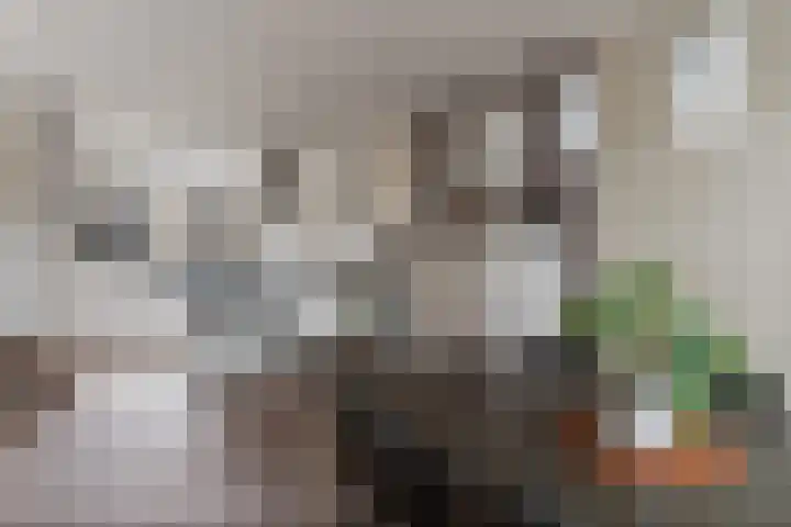 Ankerbol 3 Almere thumbnail 24