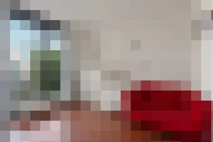 Ankerbol 3 Almere thumbnail 32