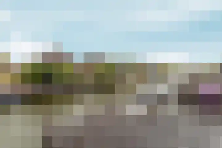 Ankerbol 3 Almere thumbnail 37