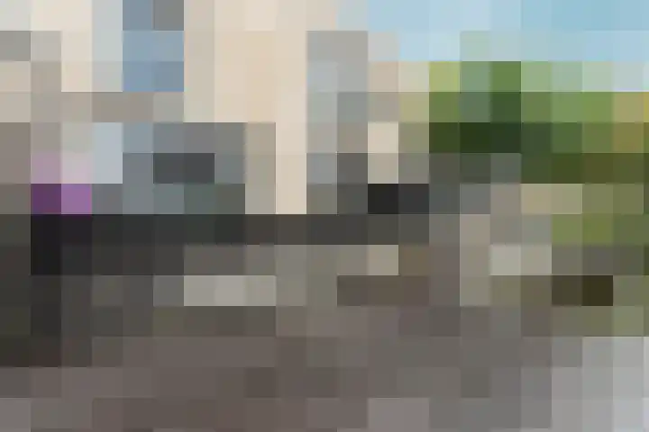 Ankerbol 3 Almere thumbnail 39