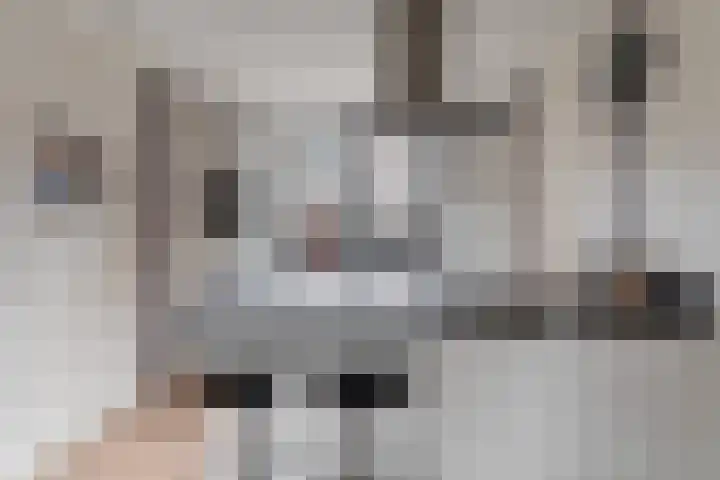 Ankerbol 3 Almere thumbnail 4
