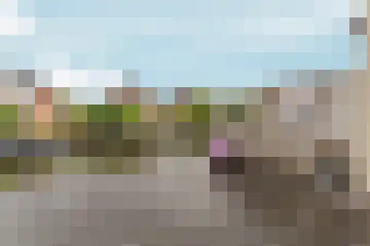 Ankerbol 3 Almere thumbnail 40