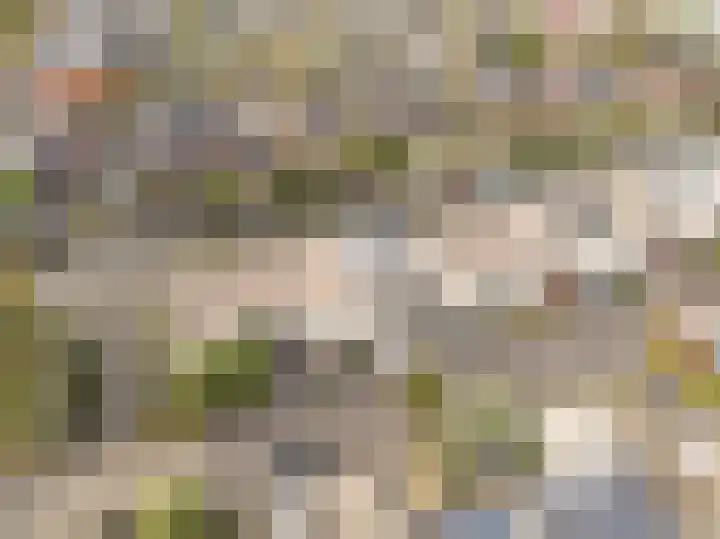 Ankerbol 3 Almere thumbnail 41