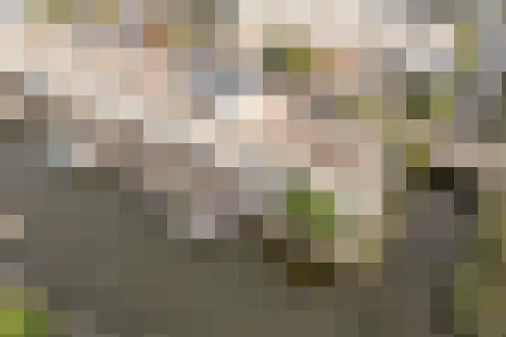 Ankerbol 3 Almere thumbnail 42
