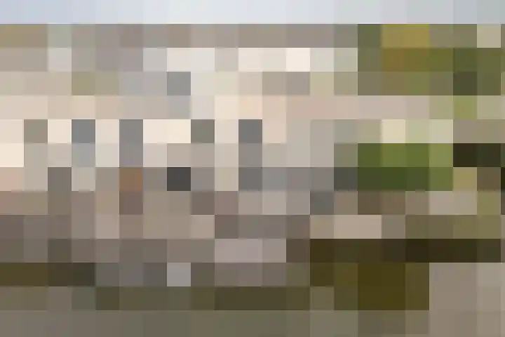 Ankerbol 3 Almere thumbnail 43