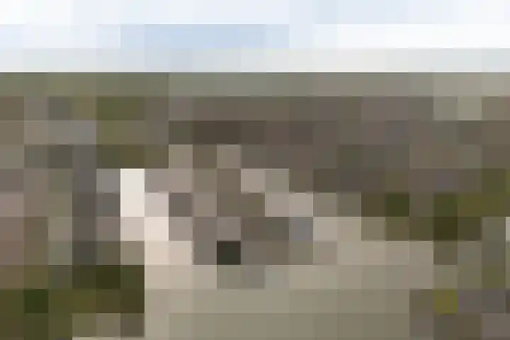 Ankerbol 3 Almere thumbnail 46