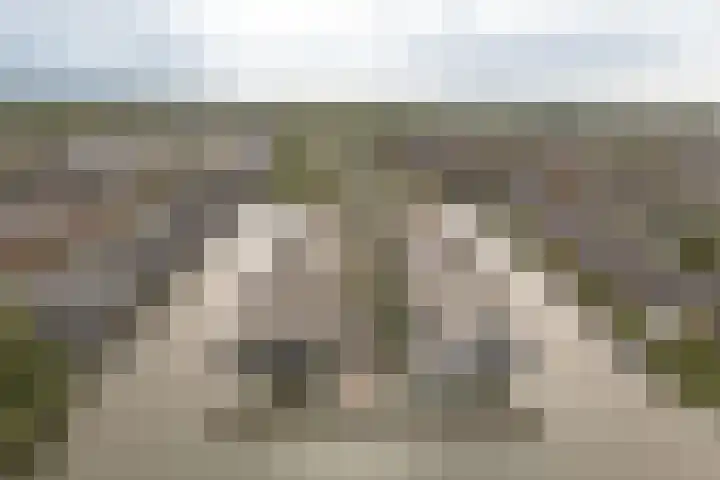 Ankerbol 3 Almere thumbnail 47