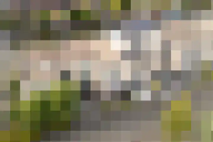 Ankerbol 3 Almere thumbnail 5