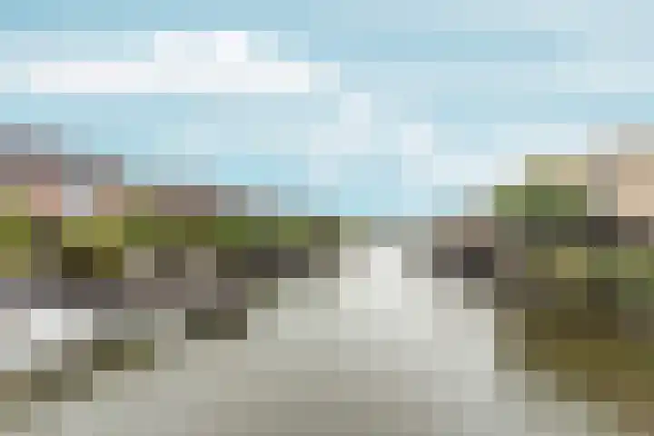 Ankerbol 3 Almere thumbnail 6