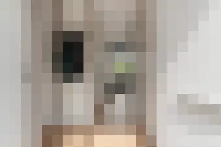 Ankerbol 3 Almere thumbnail 7