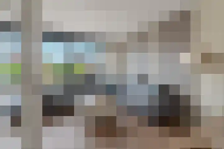 Ankerbol 3 Almere thumbnail 9