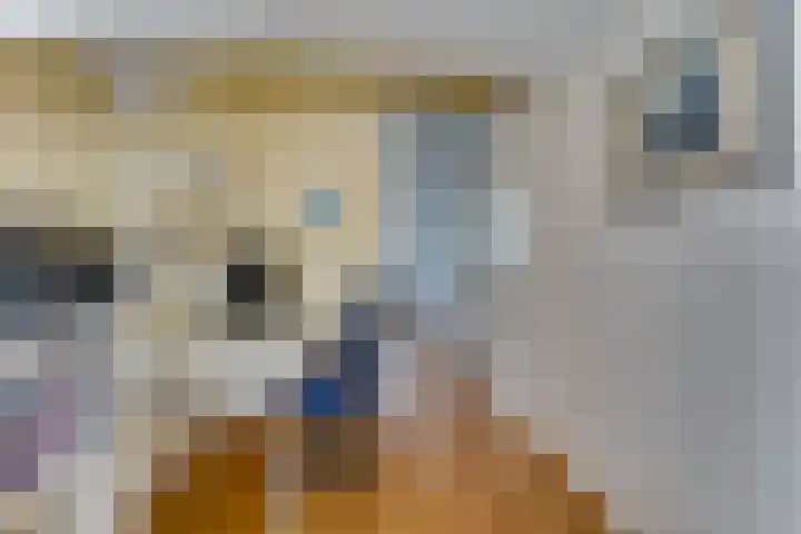 Ankermonde 20 Nieuwegein thumbnail 39