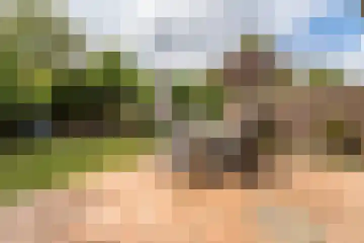 Ankermonde 20 Nieuwegein thumbnail 43